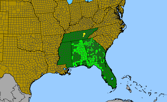 The range of Liatris elegantula